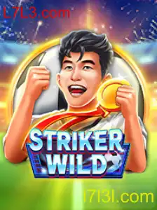 Explorando o Mundo de StrikerWILD: Um Guia Completo