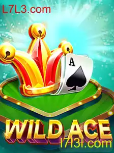 Descubra WildAce: Regras, Estratégias e Como Jogar